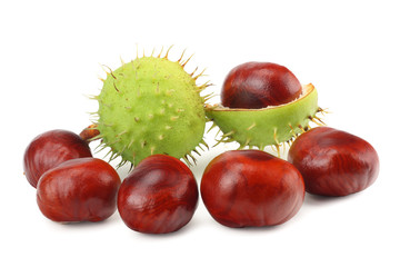 chestnuts isolated on white background. Healthy background.