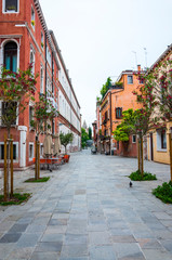 Fototapeta na wymiar Old town street buildings and flora in Venice Italy