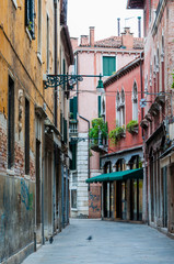 Fototapeta na wymiar Old town street buildings and flora in Venice Italy
