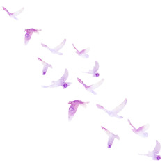 vector isolated violet watercolor silhouette of flying birds