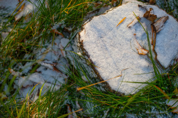 the first snow on the green grass

