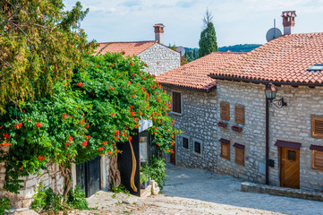 Blooming plants on Old Town street in Rovinj Istria Croatia
