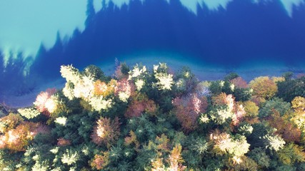 Aerial view of Eibsee surrounded by colorful autumn pine forest