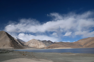 Incredible Ladakh