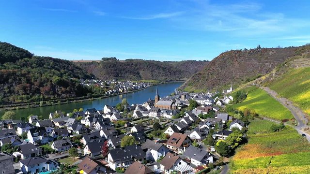 Aerial view of vineyards in autumn near Alken, Moselle River