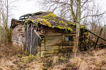 Abandoned collapsed obsolete rural wooden house ruins