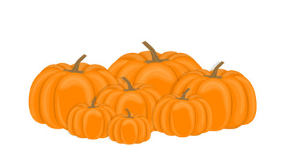 Vector illustration. Pile autumn pumpkins on white background. Flat design.