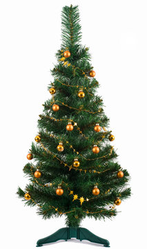 Christmas tree in a full length image