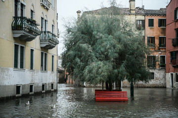 Venice, Italy - 29 October 2018: A red bench and a tree are submerged by water during exceptional...