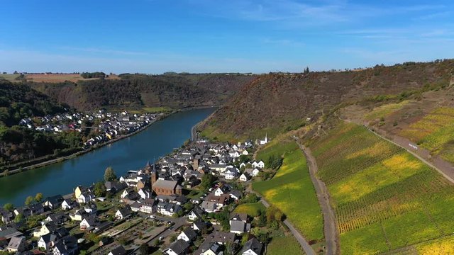 Aerial view of vineyards in autumn near Alken, Moselle River