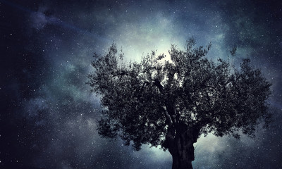 Fototapeta na wymiar Lonely tree in night