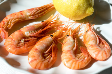 Dish with seafood on white background and cloth napkin in bright sunlight.