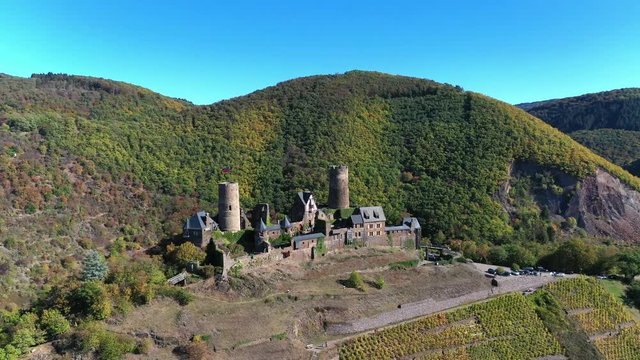 Aerial view of vineyards in autumn near Alken, Moselle River