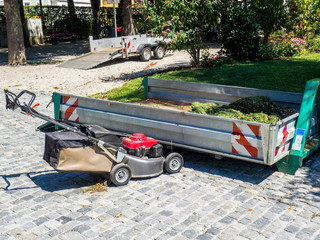 Grünpflege im Park