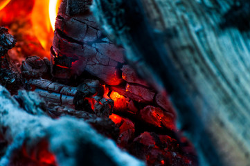 Live burning coals of firewood