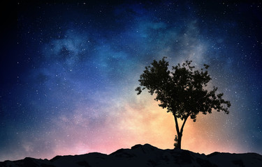 Fototapeta na wymiar Lonely tree in night