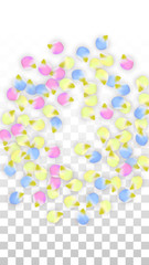Vector Realistic Colorful Petals Falling on Transparent Background.  Spring Romantic Flowers Illustration. Flying Petals. Sakura Spa Design. Blossom Confetti. Design Elements for Wedding Decoration.