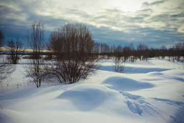Fototapeta na wymiar Gloomy weather in winter. Russian provincial landscape. Toned