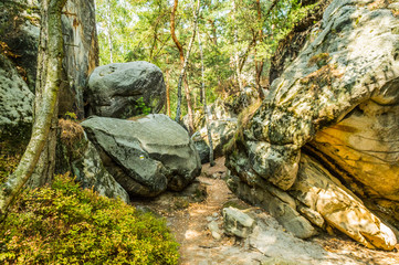 Kamienie w lesie © Kamil