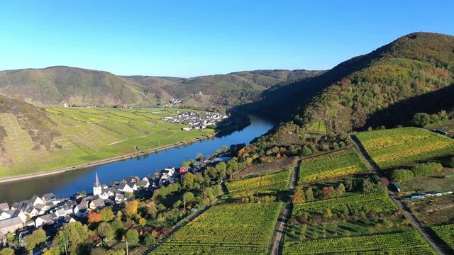 Aerial view of vineyards in autumn near Biedern, Moselle River
