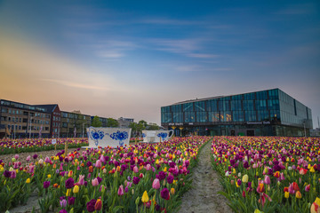 Beautiful Delft Train Station with amazing tulips in the spring.  The flowers can be picked at the end of the season.