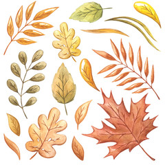 background with autumn leaves