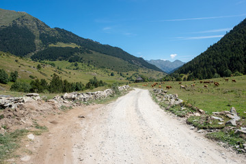Road to Montgarri through the mountain of Aran Valley