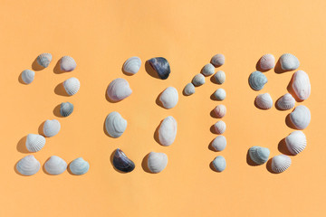 2019. New Year. Inscription 2019 made of seashells. Creative greeting card for New Year. Pattern for year of yellow earth pig. Light orange background. Copy space