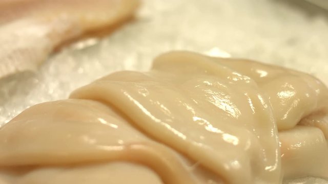 Squid, salmon steaks and salmon fillet.
Fresh squid, salmon steaks and fillet are laid out on ice. 1. Vertical (from bottom to top) pan. 
2. Horizontal (from right to left) pan.
