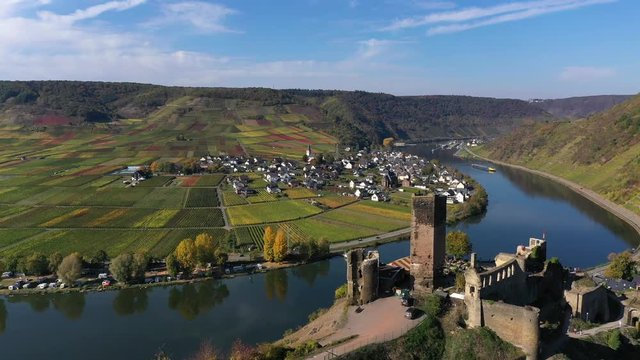 Aerial view of vineyards in autumn near Polterndorf with Metternich castle,, Moselle River, Moselle Valley, Cochem &ndash; Zell, Rhineland-Palatinate, Germany