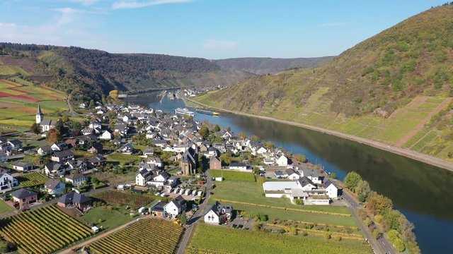 Aerial view of vineyards in autumn near Polterndorf with Metternich castle,, Moselle River, Moselle Valley, Cochem &ndash; Zell, Rhineland-Palatinate, Germany