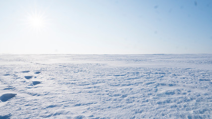 A Field covered with a snow in winter season. Winter countryside landscape. - Powered by Adobe