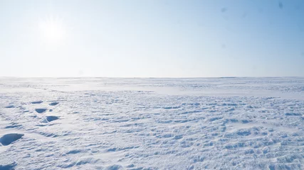Foto op Plexiglas Een veld bedekt met sneeuw in het winterseizoen. Winterlandschap op het platteland. © Volodymyr
