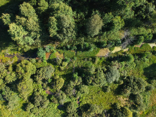 Naklejka premium Widoki na rozległy las i rzekę z wysokości