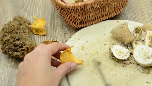 Cleaning penny bun (king bolete) mushroom and cutting in slices
