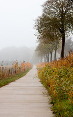 Radweg im Nebel