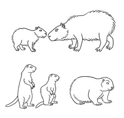 Set #2 of rodents in contours - vector illustration