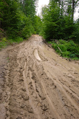 Muddy forest road