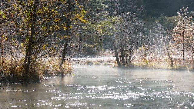 長野県上高地 紅葉の田代池を逆光が照らし光り輝く水の流れ