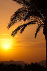 Sunset in Egypt
