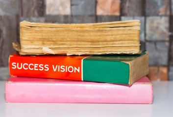 Success Vision - Business Book Title on wooden white table 