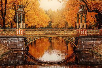 autumn park beautiful bridge