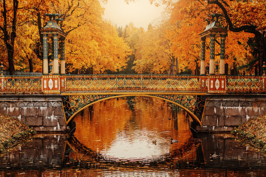 autumn park beautiful bridge