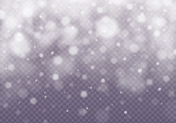 Vector falling snow effect.