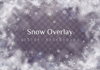 Falling Christmas snow.