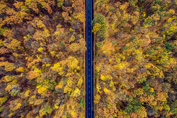 empty asphalted road through a beautiful autumn forest. view from the air. Drone photo. areal view