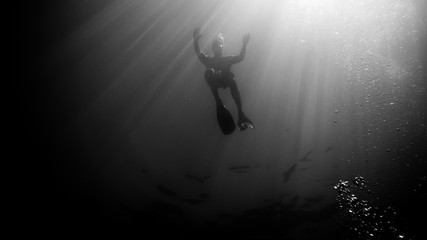 Fototapeta na wymiar plongeur noir et blanc