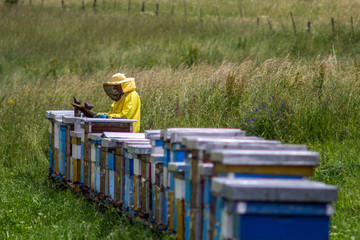 Beekeeper