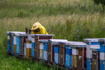 Beekeeper