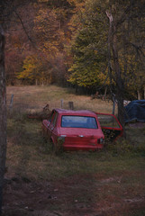 Obraz na płótnie Canvas Old Car in the Woods